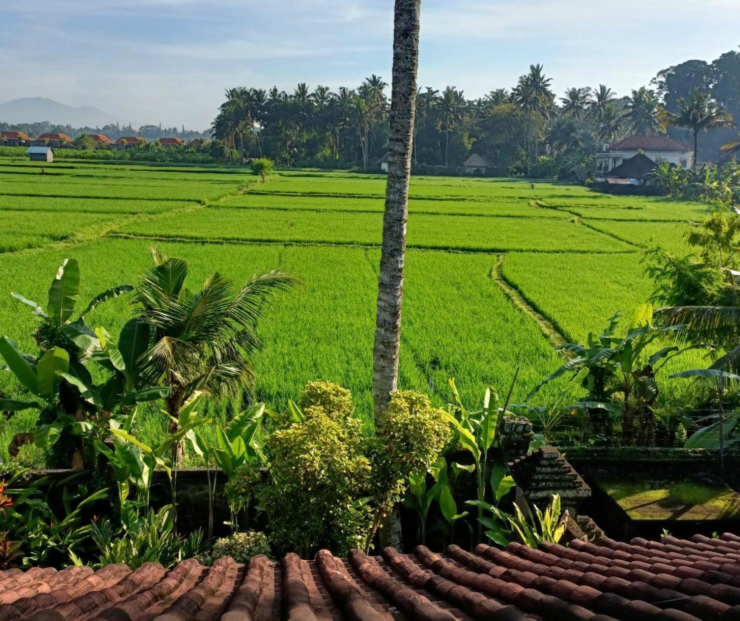 Runa House Of Design Ubud  Exterior photo